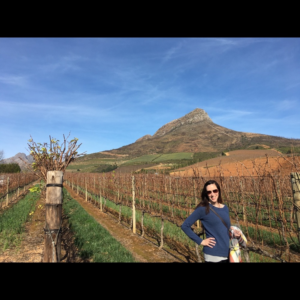 Meet your Posher, Ellen